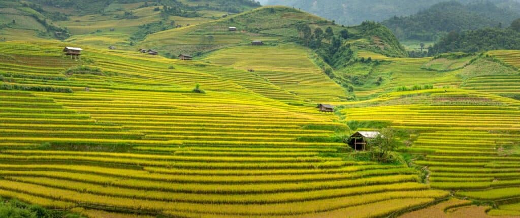 Picturesque scenery of green hills with wooden houses placed among rice plantations located in countryside in daytime