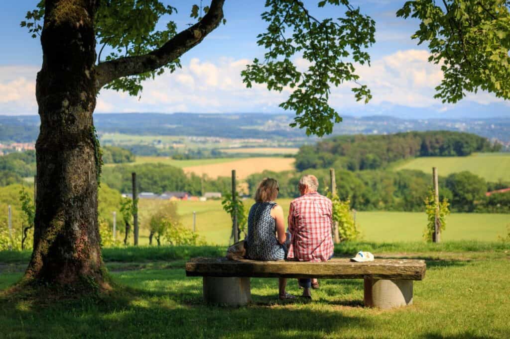Elderly couple sitting on a bench in the countryside, enjoying a scenic view under a tree.