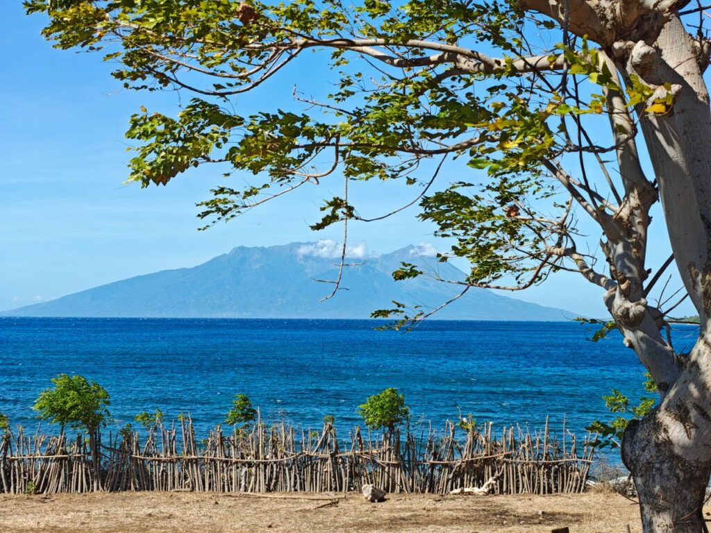 Tree-lined coastal view in Bima with tranquil sea and distant mountains.